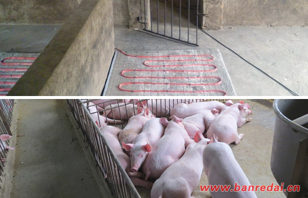 養殖用電伴熱帶采暖