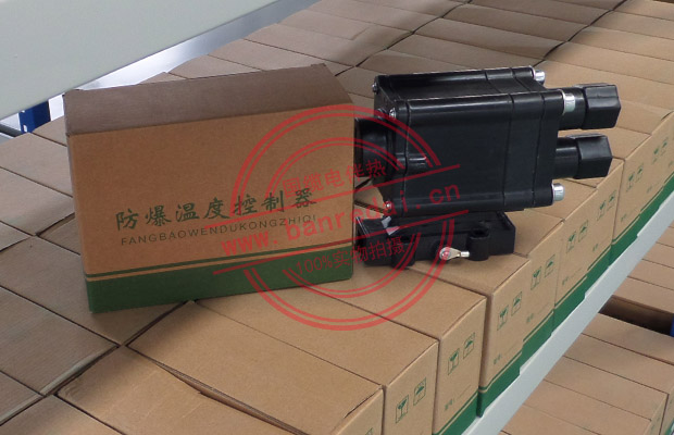 BJW防爆溫度控制器，型號：BJW51-120/E507S-LSC